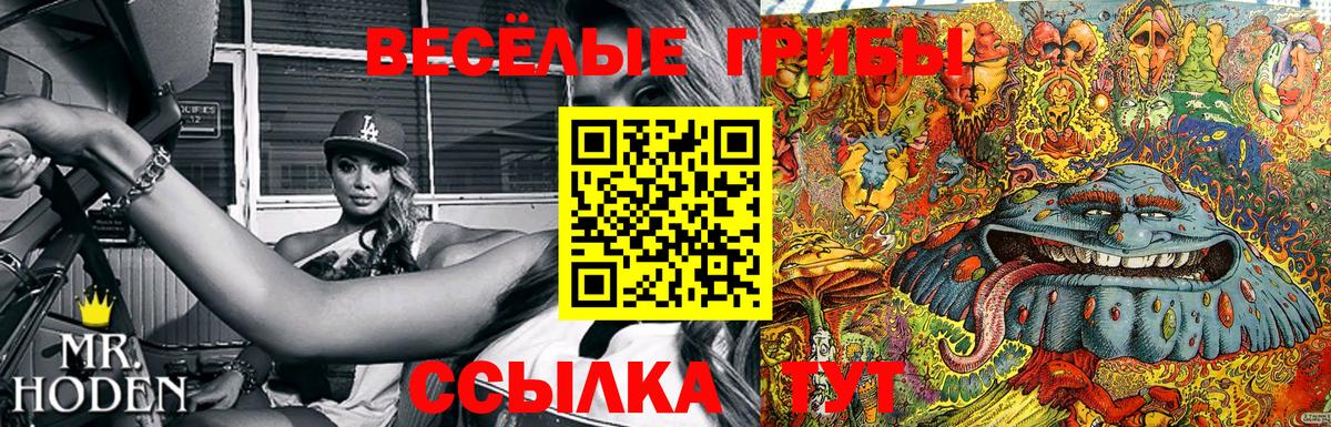 Псилоцибиновые грибы GOLDEN TEACHER  Псилоцибиновые грибы мухоморы  Вход с VPN  Зеленогорск 
