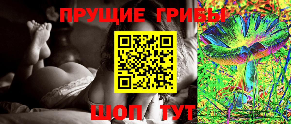 Галлюциногенные грибы MAGIC MUSHROOMS Зеленогорск